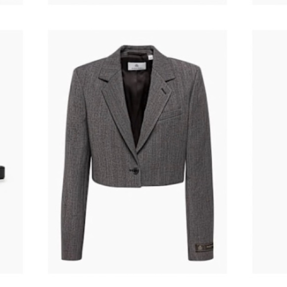 Aritzia Gray Cropped Blazer
